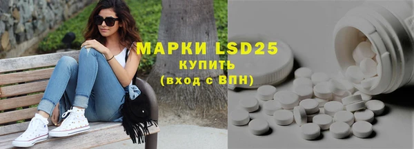 ГАЛЛЮЦИНОГЕННЫЕ ГРИБЫ Няндома