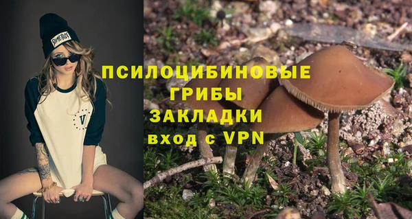 ГАЛЛЮЦИНОГЕННЫЕ ГРИБЫ Няндома