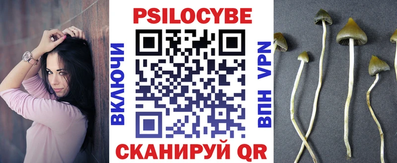 Галлюциногенные грибы Psilocybe  Иннополис 