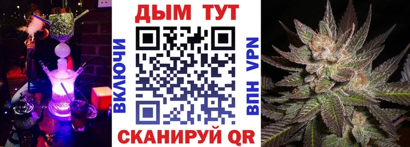 Конопля гибрид Иннополис
